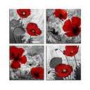 Red Flower Paintings Canvas Print Black and White Poppy Pictures Modern Artwork Ready to Hang for Wall Decor 12x12in