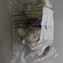 Compendium  an Adorable Stuffed Arctic Fox Plush, Companion to The Book Why Not?, 5.25" L x 5.75" W x 8" H