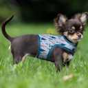 Mile High Life Dog Harness, Air Mesh Floral Vest Harness for 20 lbs Small Dogs & Cats, Easy Get on Adjustable Easy Closures Both Neck and Chest(Gray Tree, S Chest 16"-18")