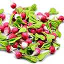 13 Radish Vegetable Dollhouse Miniatures Food