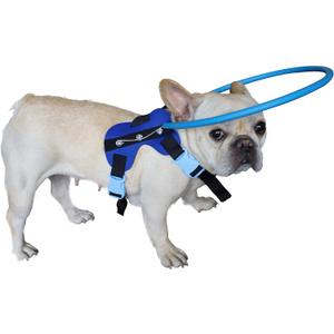 Blind Dog Harness Guiding Device,Blind Dog Halo,Pet Anti-Collision Ring for Protective&Build Confidence,Blind Dog Accessories (S)