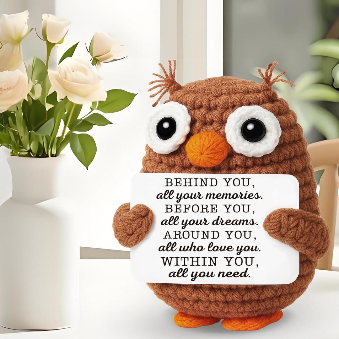 Funny 2025 Graduation Gifts for Her Him Daughter Son Granddaughter, Graduation Gifts for Masters Degree College High School PhD Grad Nurse Law School, Inspirational Emotional Positive Owl
