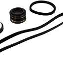 Hayward SPX1600TRA Seal Assembly Replacement Kit for Hayward Superpump and MaxFlo Pump