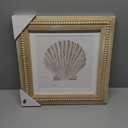 Vintage Scallop Shell New View Coastal Wall Art Featuring a Seashell Print in a Wooden Frame.