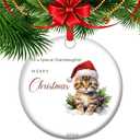 Cat Lover Christmas Ornament - 2025 Cat Mom Ornament, Christmas Keepsake for Family Friends Couple (V16)