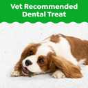 6 x Greenies Dog Treats Veterinarian-Recommended Natural Dental Puppy Treats Teenie Size, 6 oz. Pack, 22 Count (EXP 12/11/27)