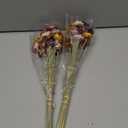 L'BREVOGA Dried Flowers with Stem, 36 PCS Strawflower Daisy in 16 inches, Dried Flower for Floral Arrangments Home Decoration (Strawflower Mix)