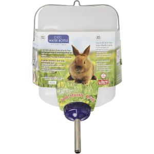 Lixit All-Weather Rabbit Water Bottle - 64 Ounce Widemouth Cage Water Bottles for Rabbits, Ferrets, Guinea Pigs, Rats, and Other Small Animals (White, 64 Ounce)