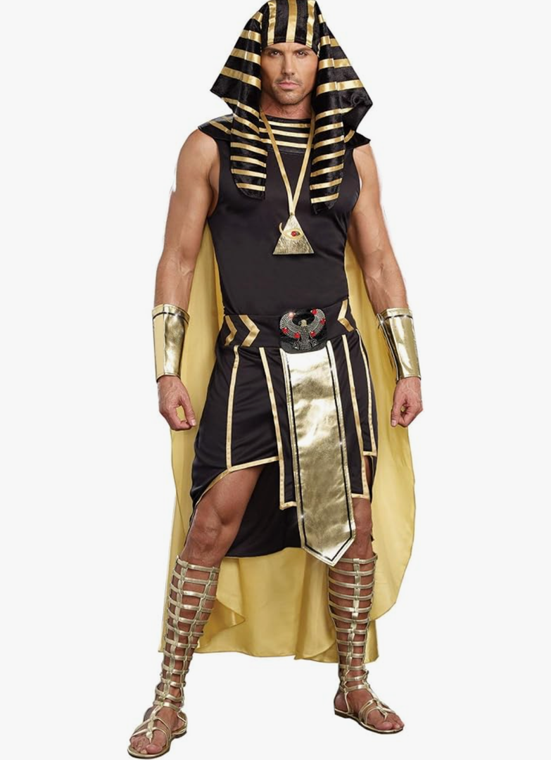Dreamgirl Men's Adult Fashion King of Egypt King Tut Costume, Gold Small