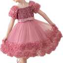 Little Girl Dress with 3D Floral Embroidery Flower Girl Dresses for Easter, Wedding, Birthday Or Graduation (2-3T, Dusty Rose)
