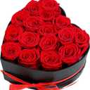 Preserved Roses Heart Shape Box Valentines Day Gifts for Her Mothers Day Forever Flowers (Red, 16 Roses)