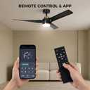 56" Ceiling Fan with Lights, DC Motor, App Control, Black Gold | Bluetooth app and remote, Dimmable LED memory, 7500 CFM high airflow, Quiet pure copper motor, Sloped ceiling compatible