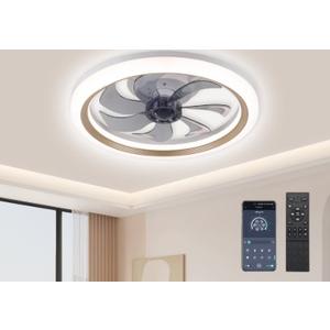LISUNAR 20" Ceiling Fans with Lights and Remote, Gold-Smart Dimmable low profile ceiling fan with light, Ceiling fans with lights flush mount Stepless Color Temperature Change and 6 Speeds 7 Blades