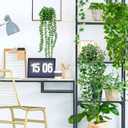 Palonu Artificial Hanging Plants for Shelf, 4 Pack Fake Potted Greenery Plant Faux Mandala Vine, String of Pearls, Ivy Vine,Persian Grass Fern in Pot for Desk Home Bathroom Farmhouse Room Table Decor