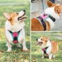 PHOEPET 2019 Upgraded No Pull Dog Harness, Reflective Adjustable Vest, with a Training Handle + 2 Metal Leash Hooks+ 3 Snap Buckles +4 Slide Buckles(S, Pink)