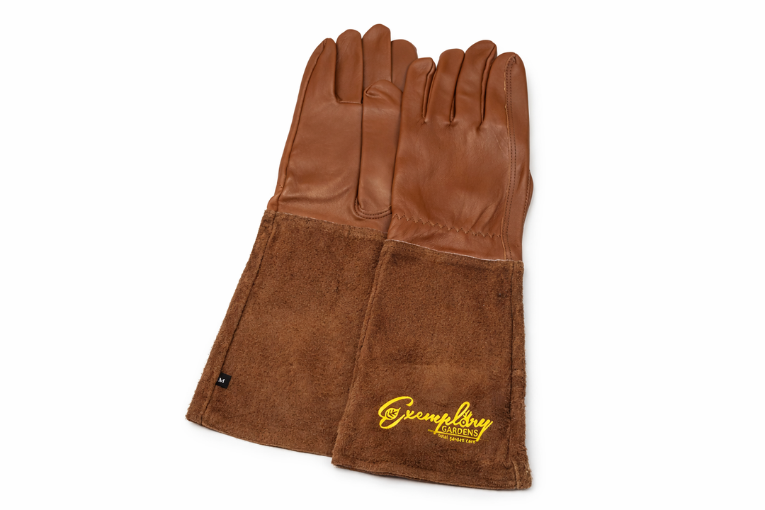 Leather Gardening Gloves, Size M