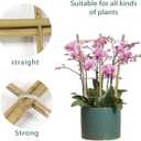 Natural Bamboo Plant Trellis, 2FT Garden Ladder Trellis, Plant Trellis for Climbing Plants, Vegetables, Pots, Outdoor & Indoor Use (3 Pack)
