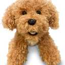 Super Soft Plush Dog Toy, Labrador Puppy, Cream Color, 13 Inches, Great for Kids and Adults, Cuddly Companion for Grandparents, Stuffed Animals & Stuffed Dolls (Goldendoodle)