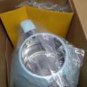 Hazel Quinn Retro Electric Kettle - 1.7 Liters / 57.5 Ounces Tea Kettle with Thermometer, All Stainless Steel, 1200 Watts Fast Boiling, BPA-free, Cordless, Automatic Shut Off - Mint Green