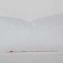 King Size Goose Down Feather Hotel Collection Bed Pillow for Sleeping for Back, Stomach or Side Sleepers King Size(20x36IN) White 1 Pack