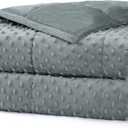 Alomidds Weighted Blanket (60"x80",20lbs Queen Size - Grey), Weighted Blankets for Adults, Breathable Soft and Comfort Minky, Heavy Blanket Microfiber Material with Glass Beads