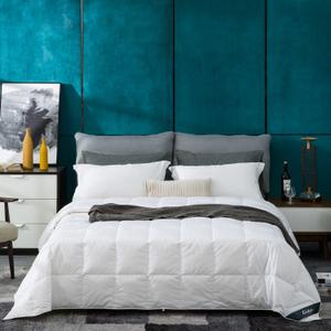 Globon White Summer Down Comforter/Blanket Queen Size, Lightweight Duvet Insert for Hot Sleepers, Noiseless & Extra Soft Shell,14OZ,750 Fill Power, with Ties, Solid White