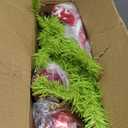 5FT Whimsical Bendable Christmas Tree with Green Plush Tree Skirt 4 Christmas Balls Ornament & String Lights, Lime Green Artificial Xmas Tree for Indoor Holiday Decoration, Easy Assembly