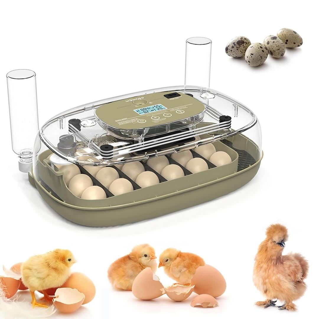 24 Egg Incubator - Auto Turning/Humidity/Water Refill/Temp Control, Egg Candler, Air Vent, Hatching Chicken, Duck, Quail, Ideal for Home, Science Classroom, Lab, Farm