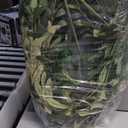 Lovee Olive Leaf Wreath - 20 Inch Green Greenery Wreath with Olive Leaves for Front Door, Window, Christmas, Wedding Decor