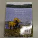 Wit & Wisdom Of Highland Cows, Paperback