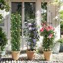 Obelisk Trellis for Climbing Plants Outdoor 6.6ft, Garden Tower Trellis for Potted Plants Indoor with Twist Tie, Clips and Butterflies Rustproof Coated Metal Support for Vines Rose, 2Pack