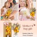 Preserved Flowers - Real Sunflower Gifts from Son Daughter for Mom, Birthday Gifts for Women, Teacher Appreciation, Dried Flowers for Decoration, Christmas