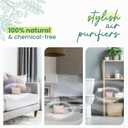 2 x Roonin Activated Charcoal Odor Absorber - Mildew Smell Eliminator - Room Odor Eliminator Remover - Closet Freshener - Odor Neutralizer For Home - Bamboo Charcoal (2-pack)