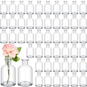 Lallisa 54 Pcs 3.15 Inches Small Glass Bud Vases Bulk Mini Flower Vases for Centerpieces Decorative Glass Bottles Vintage Rustic Decoration for Wedding Dining Table Home Decor (Transparent)