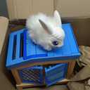Little Live Pets Bunny Mama Surprise Toy Set, Hutch Interactive Animal Playset with 3 Surprise Babies, 20+ Sounds, Bunny Accessories for Girls Ages 3+