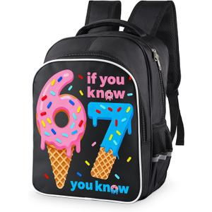 2 x 67 Backpack for Boys Girls, Large Capacity Durable Waterproof Backpacks, Medium