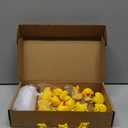 Cheer Gifts Bulk Duck Keychain You've Been Cheer Ducked Tags Bow Organza Bags for Valentines Cheerleader Team Gift(Yellow,20 Set)