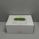 Click & Grow Indoor Herb Garden Kit with Grow Light | Smart Garden for Home Kitchen Windowsill | Easier Than Hydroponics Growing System | Vegetable Gardening Starter (3 Basil Pods Included), White