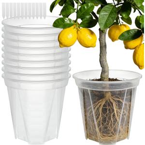 11 Inch Large Clear Nursery Pots with Drainage Holes, 3.5 Gal 10 Pack Transparent Plastic Plant Pots, Ideal for Orchids, Seedlings, Repotting & Observing Root Growth & Soil Moisture
