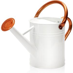 Metal Watering Can with Removable Spout, Galvanized Watering Can, Perfect for Indoor Use and for Outdoor Use (1 Gallaon, White)