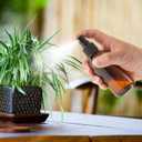 Dark Amber Glass Spray Bottles 4 oz, Small Glass Spray Bottles for Essential Oils, Fine Mist for Face, Hair, Plants, Travel, Perfumes, Cleaning Solutions - 4 Pack