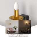 Briignite Chandelier Night Lights Plug into Wall, LED Warm Night Light with Dusk to Dawn Sensor, 0-100LM Dimmable, Decorative Gold Candle-Style Nightlight for Bedroom, Bathroom, Hallway, Stairway