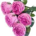 5Pcs Light Pink Real Touch Artificial Silk Flowers with Stems - Lifelike Latex Austin Rose Peony for Wedding Bouquets, Home Decor, DIY Floral Arrangements