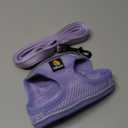 BELLA & PAL Step in Vest Harness for Small and Medium Dogs, No Pull Small Dog Harness with Leash Set, Comfortable Air Mesh Dog Vest Harness with Reflective Strip (Lavender, XXS)