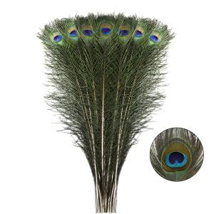 Natural Long Peacock Feathers - 40pcs 23-28 inches for Floral Arrangements, Wedding, Home and Party Decorations