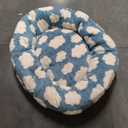 Lesure Large Cat Tunnel Bed - Cute Donut Bed for Indoor Cats with Washable Circle Cushion, Round Pet Peekaboo Cave Toy for Multi Kitten/Puppy/Rabbit, Large Blue