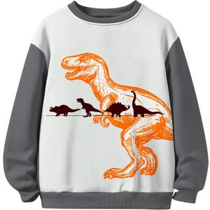 Toddler Boys' Sweatshirts Long Sleeve Crewneck Pullover Cartoon Shirts Warm Graphic Winter Top (3-4T, Yellow Dinosaur)