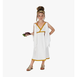 fun shack Kids Greek Goddess Costume Girls, Toga Costume Kids, Athena Costume Greek Costume Girls, Girls Goddess Costume (Medium)