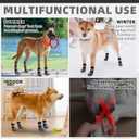 KOOLTAIL Dog Socks Shoes for Hot Pavement, Breathable & Warm Winter Dog Booties to Prevent Licking Paws for Small Medium Large Senior Dogs,Non Slip Grippy Pet Boots & Paw Protectors for Hardwood Floor