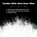 ANSSO Canadian Goose Down Pillows 1840+ Fill Power, King